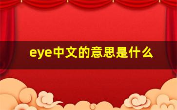 eye中文的意思是什么