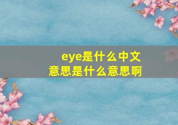 eye是什么中文意思是什么意思啊