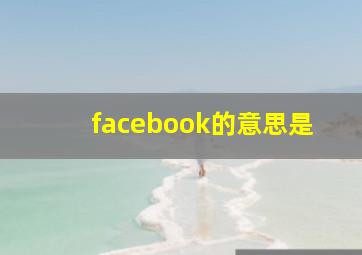 facebook的意思是