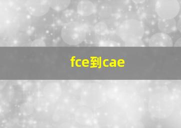 fce到cae