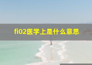 fi02医学上是什么意思