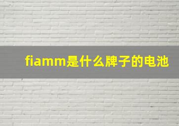 fiamm是什么牌子的电池