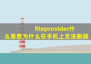 fileprovider什么意思为什么在手机上无法删除