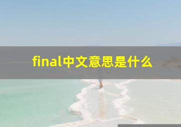 final中文意思是什么