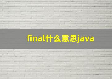 final什么意思java