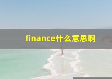 finance什么意思啊