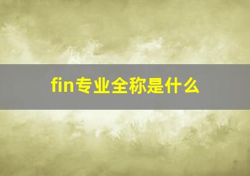 fin专业全称是什么