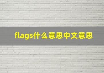 flags什么意思中文意思