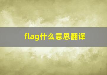 flag什么意思翻译