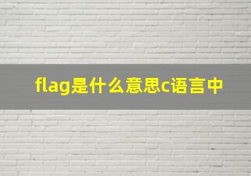 flag是什么意思c语言中