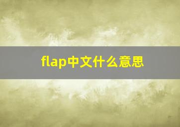 flap中文什么意思