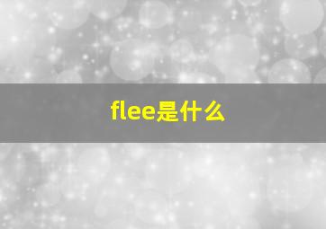 flee是什么