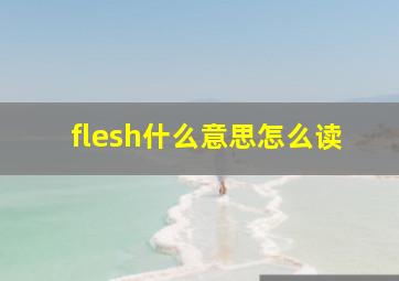 flesh什么意思怎么读