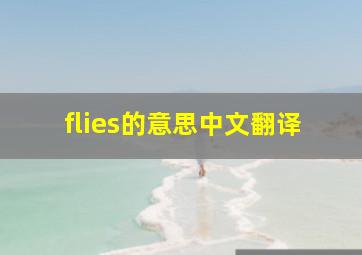 flies的意思中文翻译