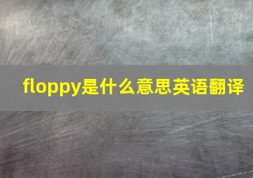 floppy是什么意思英语翻译