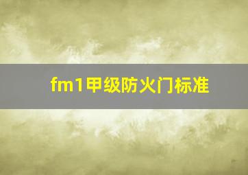 fm1甲级防火门标准