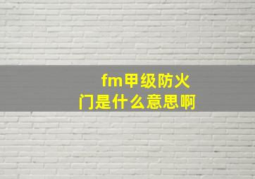 fm甲级防火门是什么意思啊