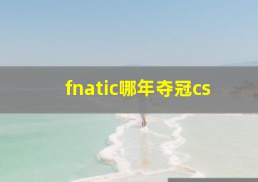 fnatic哪年夺冠cs