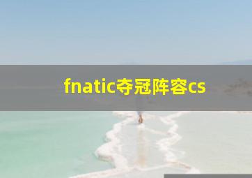 fnatic夺冠阵容cs