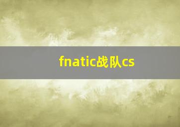 fnatic战队cs