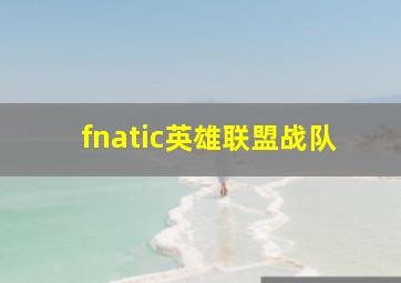 fnatic英雄联盟战队