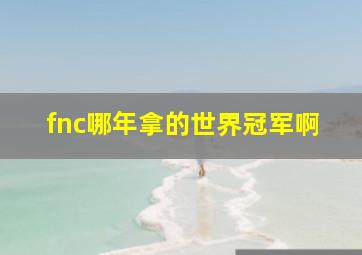 fnc哪年拿的世界冠军啊