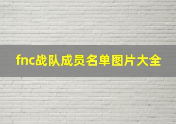 fnc战队成员名单图片大全