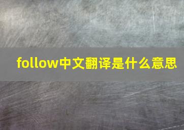 follow中文翻译是什么意思