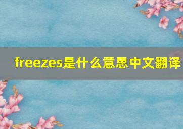 freezes是什么意思中文翻译