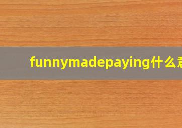 funnymadepaying什么意思