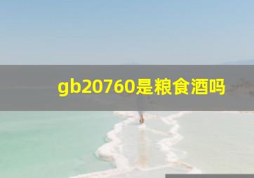 gb20760是粮食酒吗