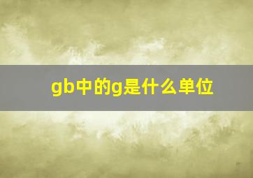 gb中的g是什么单位