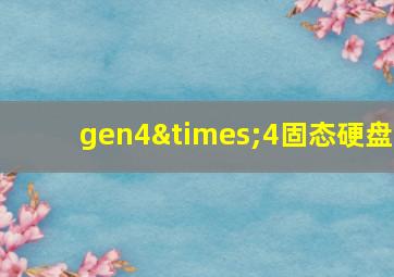 gen4×4固态硬盘