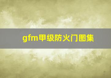 gfm甲级防火门图集