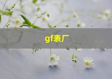 gf表厂