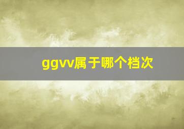 ggvv属于哪个档次