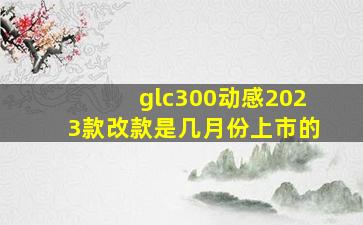 glc300动感2023款改款是几月份上市的