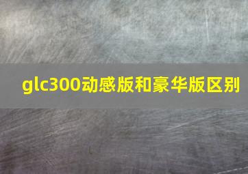 glc300动感版和豪华版区别