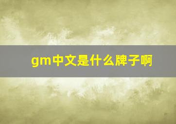 gm中文是什么牌子啊