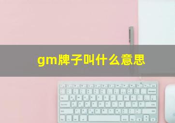 gm牌子叫什么意思