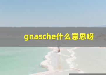 gnasche什么意思呀