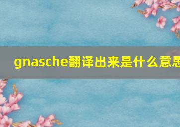 gnasche翻译出来是什么意思