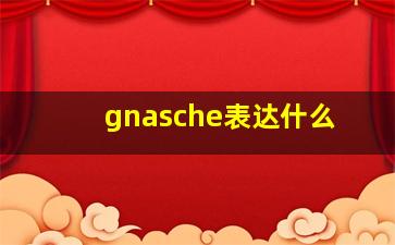 gnasche表达什么