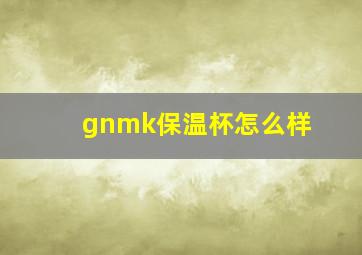 gnmk保温杯怎么样