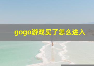 gogo游戏买了怎么进入