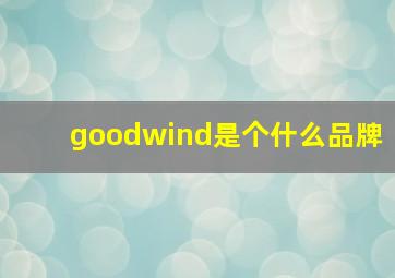 goodwind是个什么品牌