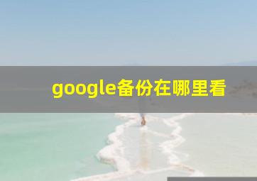 google备份在哪里看