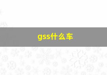 gss什么车