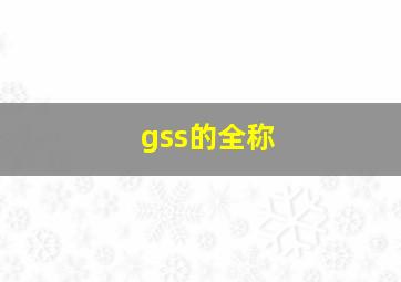 gss的全称