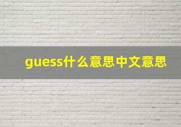 guess什么意思中文意思